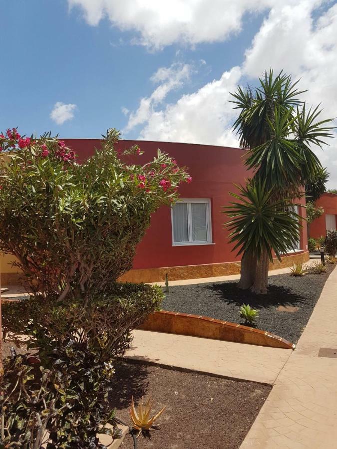 Aloha * Corralejo