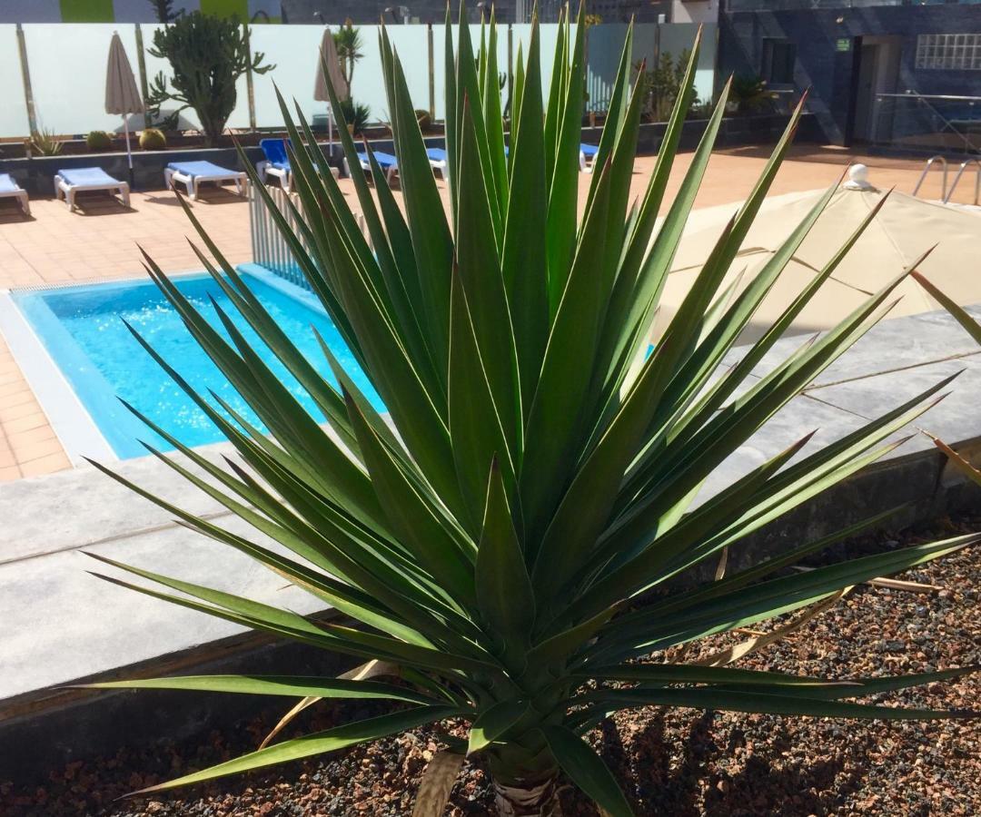 Blue Dream Playa Apartment