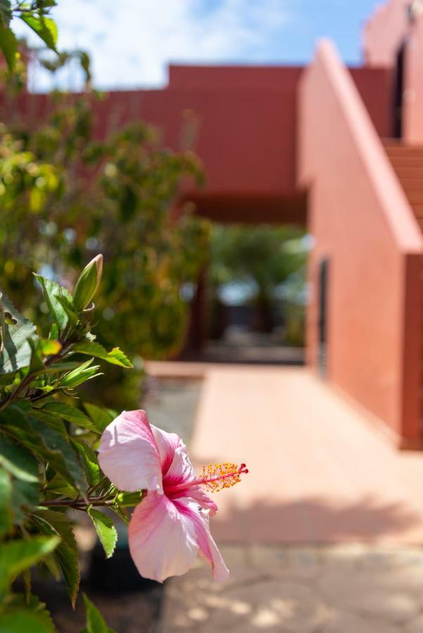 Blu Gardenia *