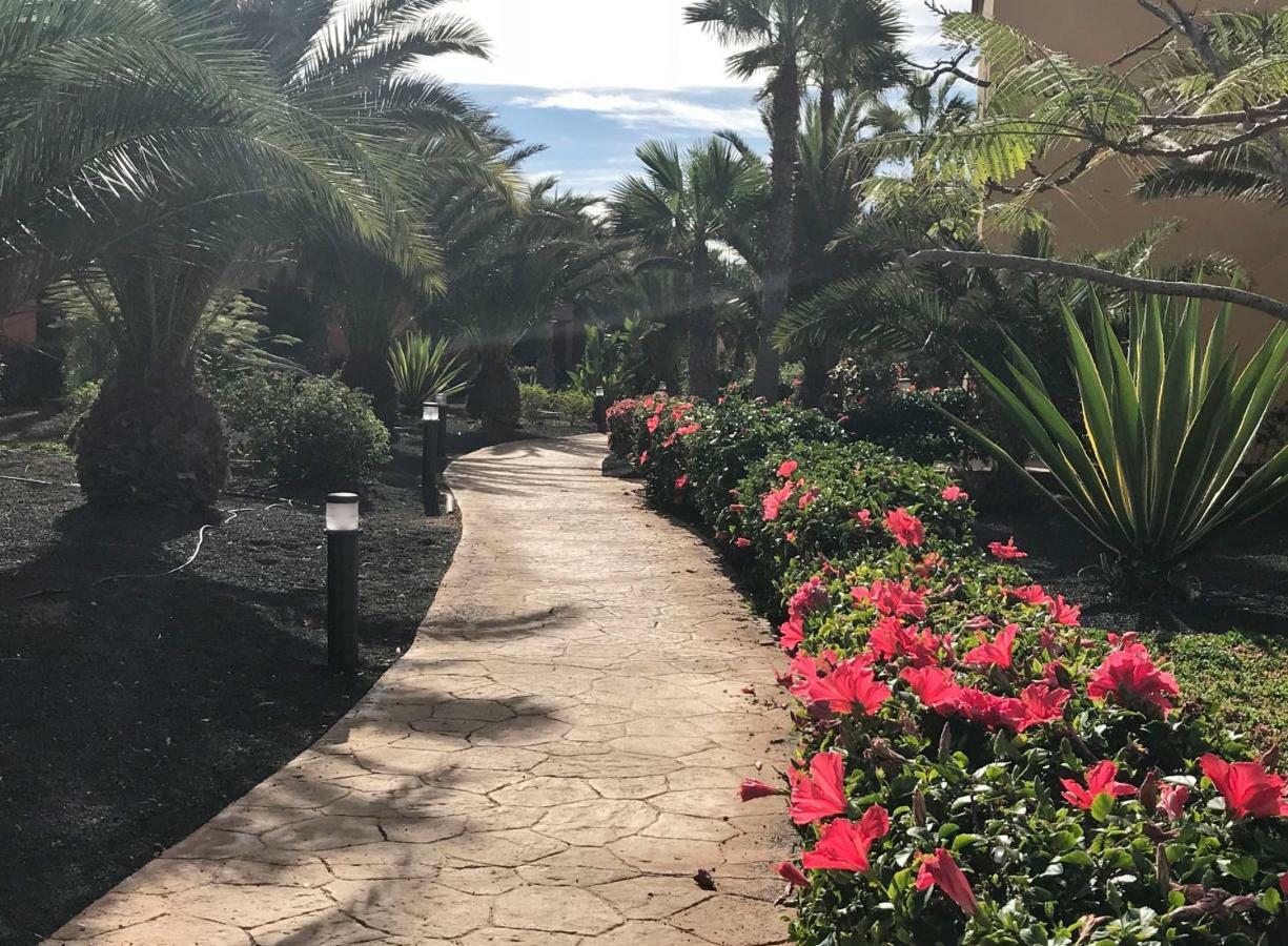 My Pretty - Lovely And Spacious Surrounded By Tropical Gardens - Private Covered And Uncovered Terrace - Pool - Parking - Free Fibre Optic Internet Appartement *