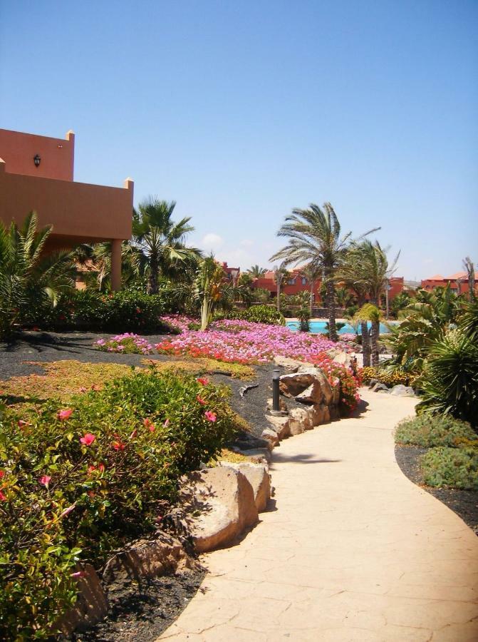 My Pretty - Lovely And Spacious Surrounded By Tropical Gardens - Private Covered And Uncovered Terrace - Pool - Parking - Free Fibre Optic Internet