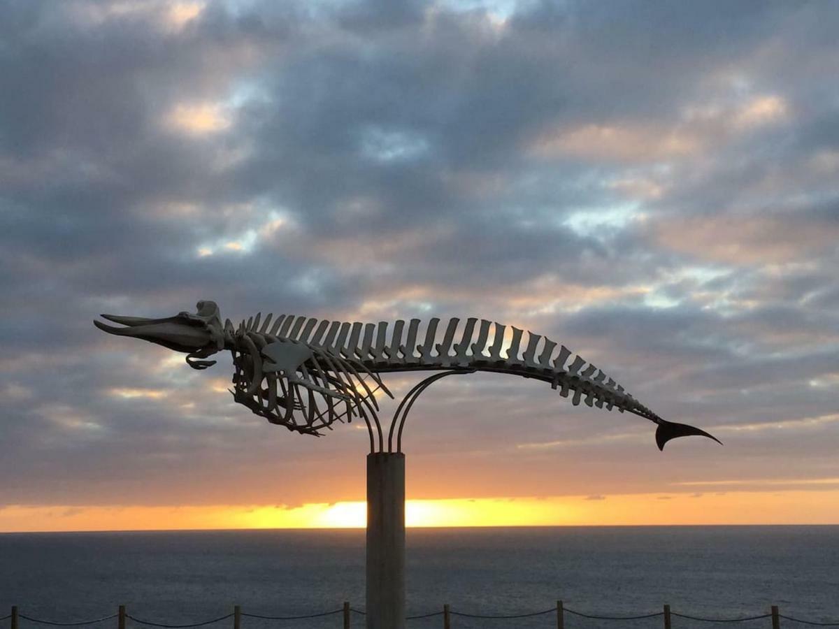 Bonito Vistal Bristol Sunset