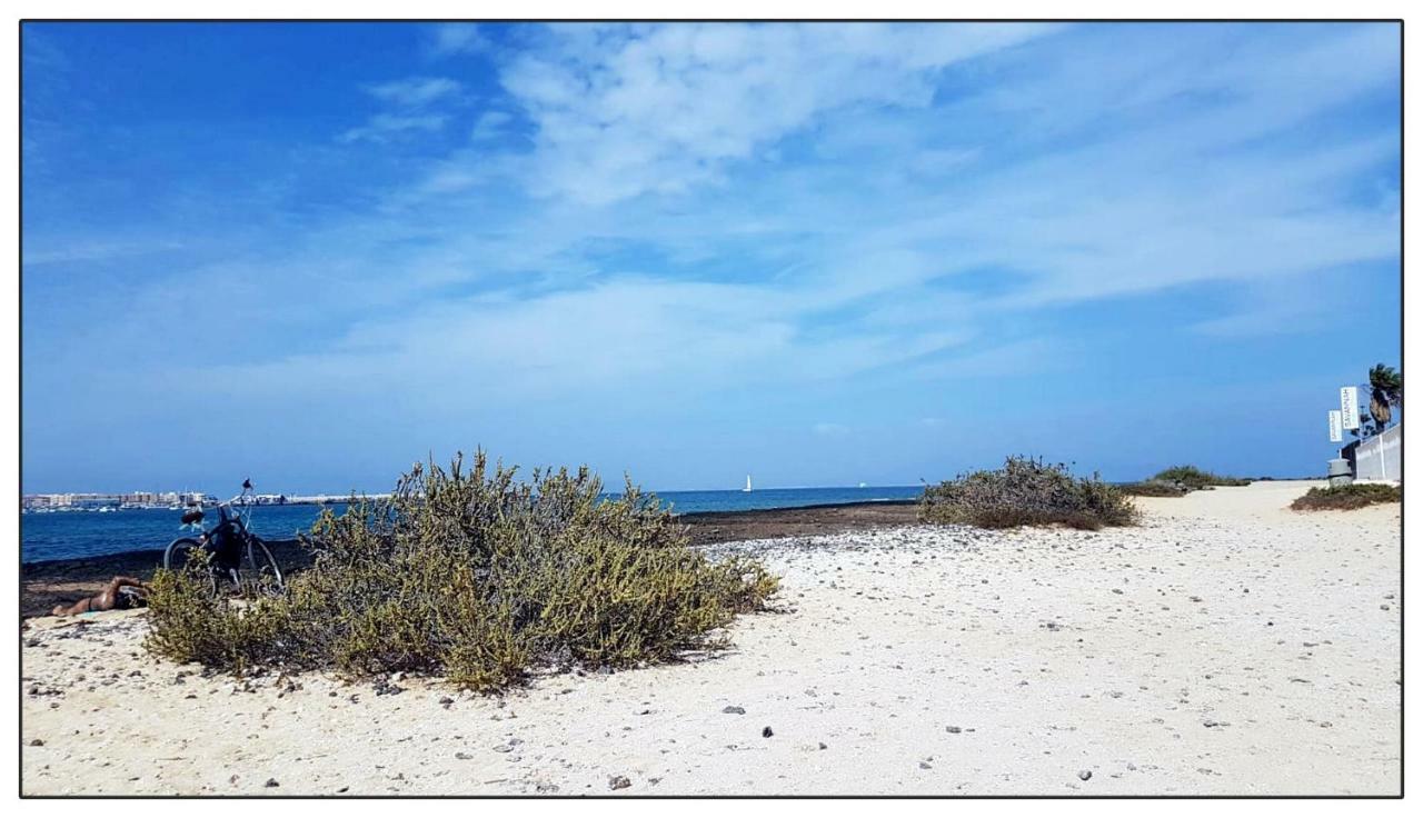 Lur De La Playa Corralejo