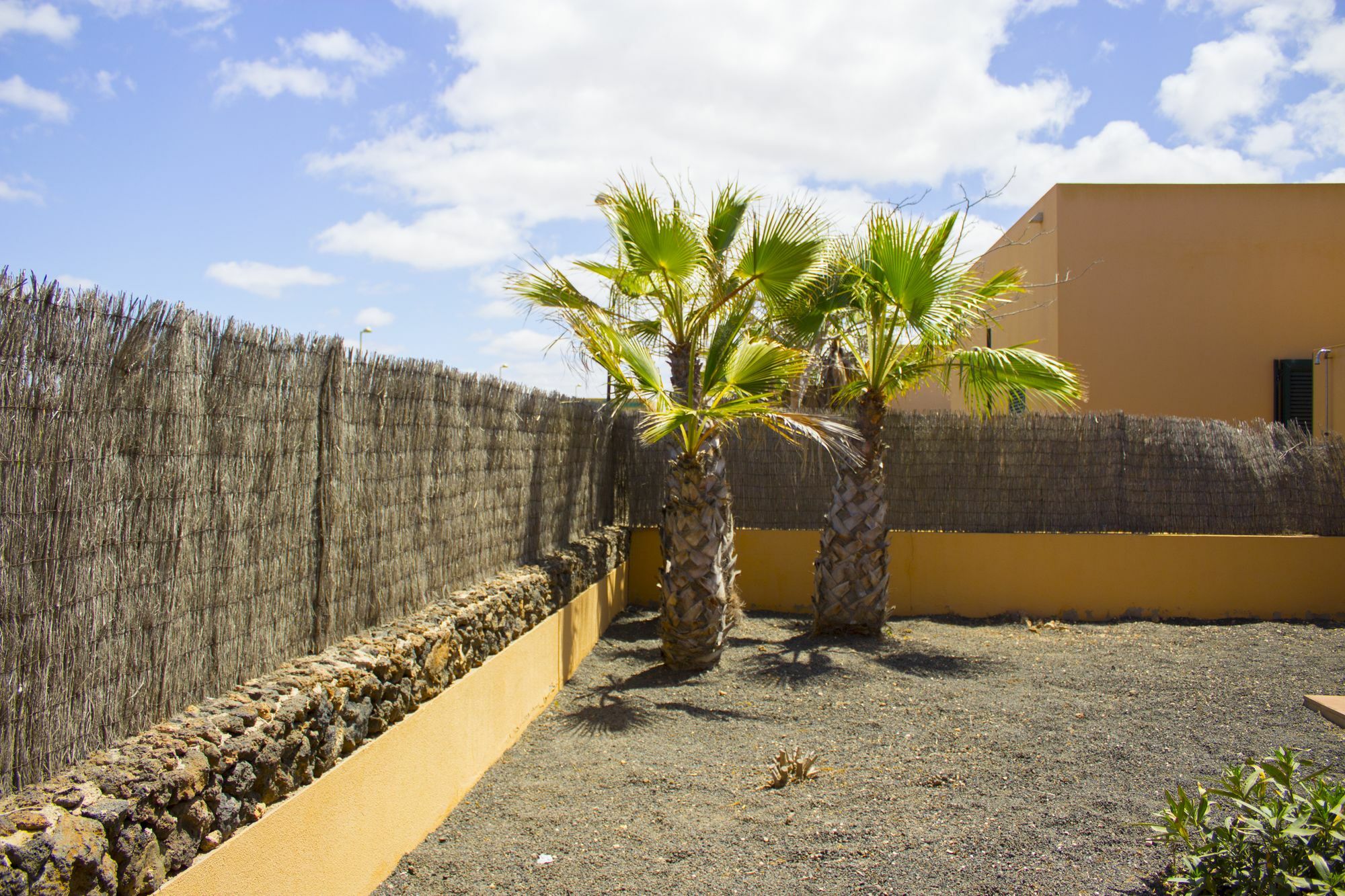 Volcanic 3* Corralejo