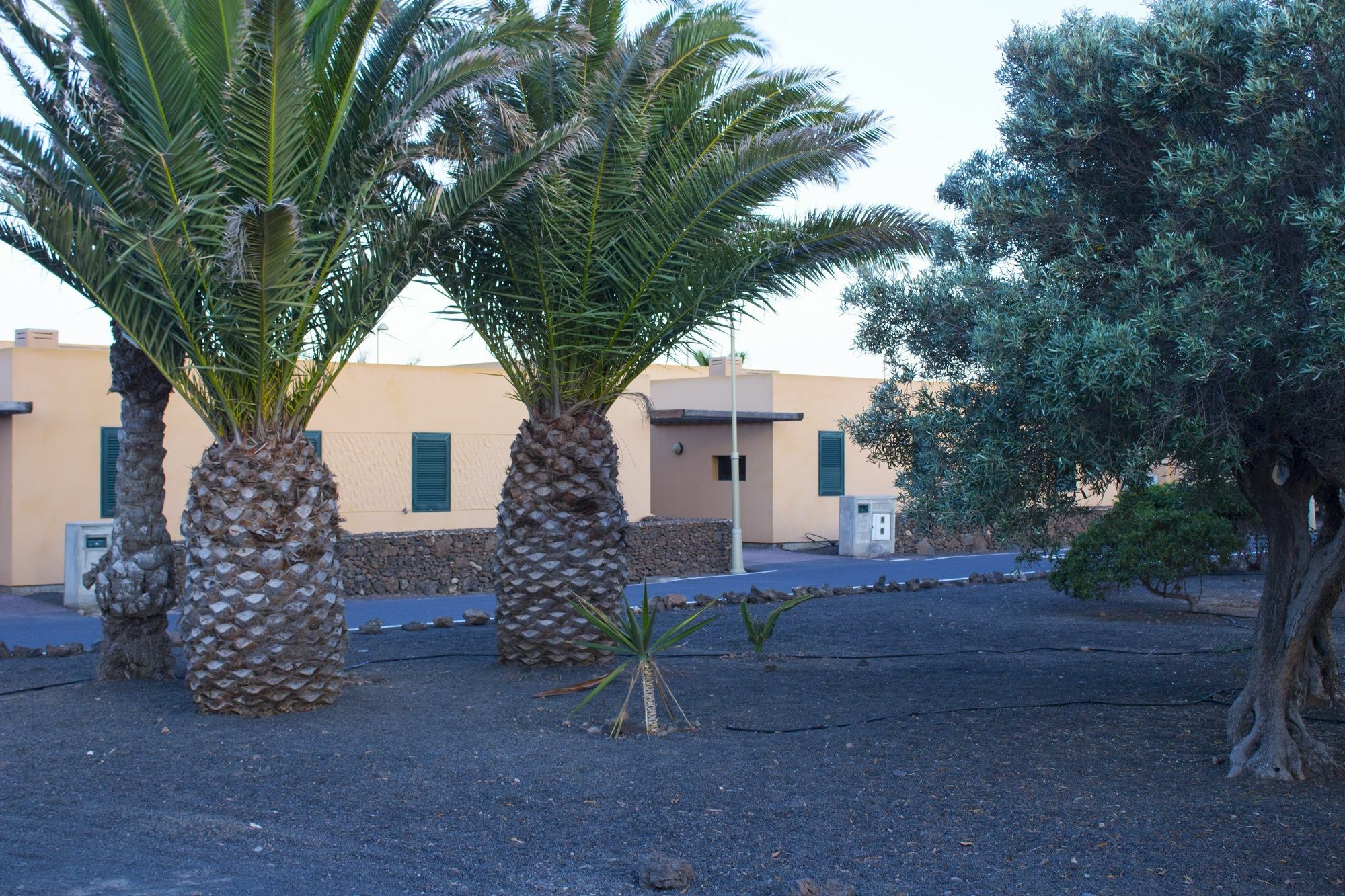 Volcanic Hotel Corralejo
