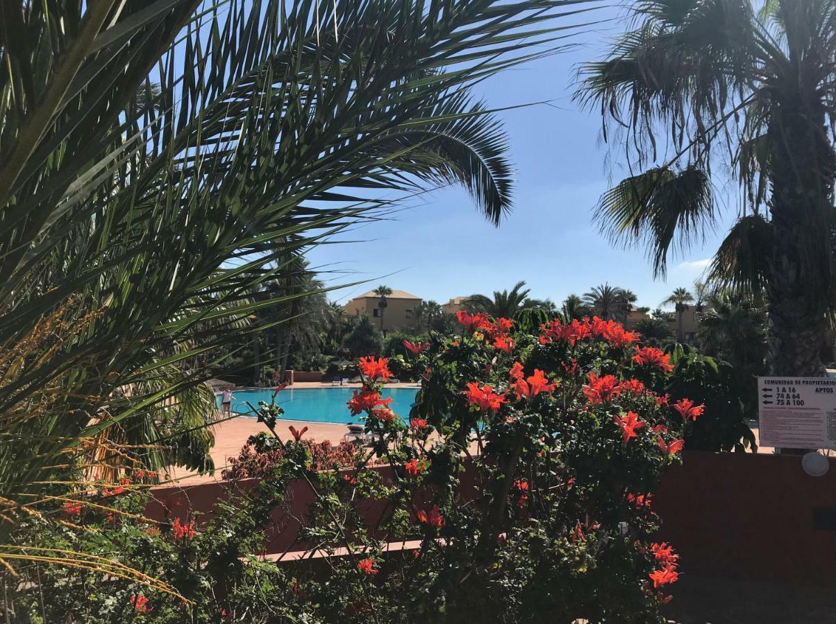 Appartement My Pretty - Lovely And Spacious Surrounded By Tropical Gardens - Private Covered And Uncovered Terrace - Pool - Parking - Free Fibre Optic Internet