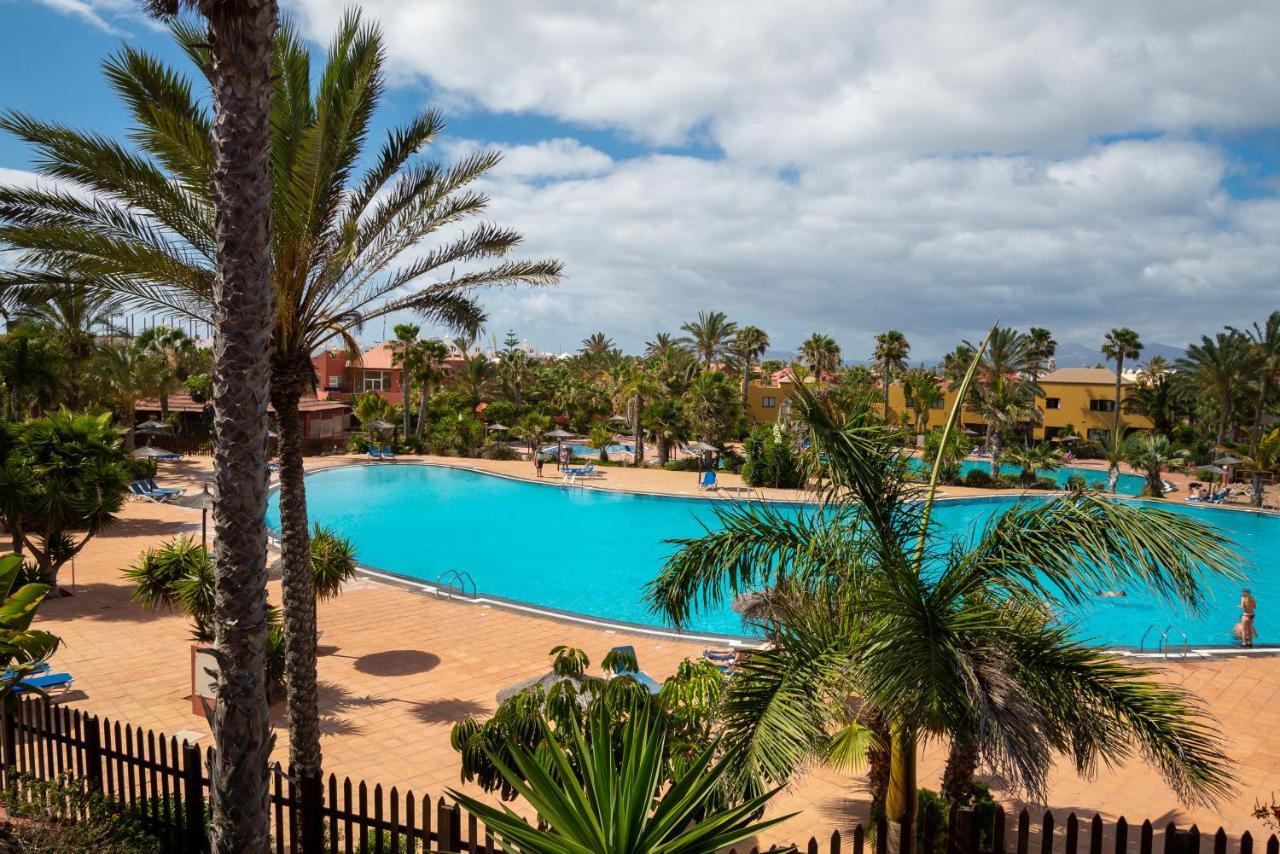 Apartamento El Jasmine *