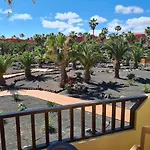 Oasis Royal F320