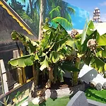 Villa Sunshine
