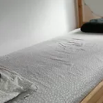Shared Apartment Little Kaktus