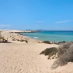 Falco 1
