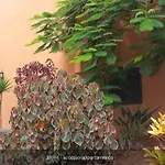 My Home In The Sun