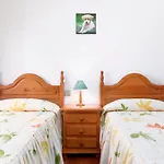 La flor del Atlantico