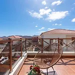 Alcaudon Holidayfv