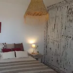 Alcaudon Holidayfv