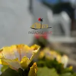 Hibiscus