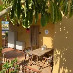 The Little Palm