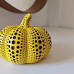 Casa Kusama