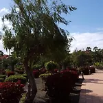 Oasis Royal 1D