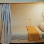 Blueadventure Surf House