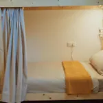 Blueadventure Surf House