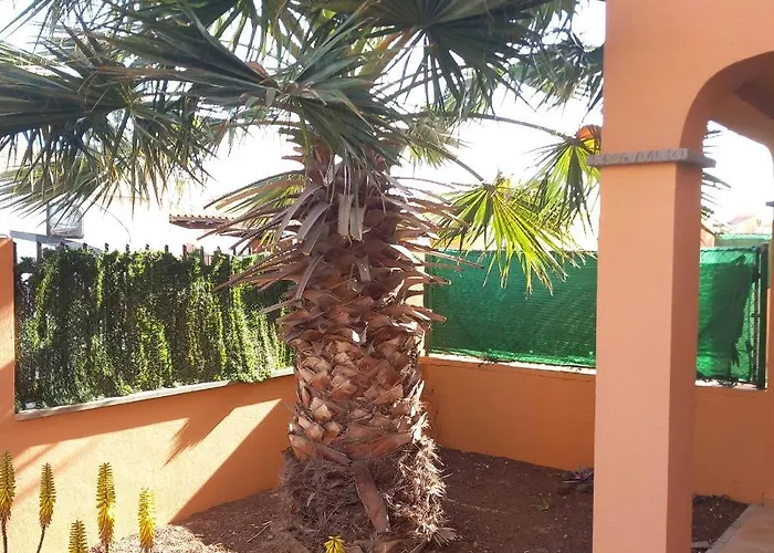 Villa Palmera - 3 Bedroom
