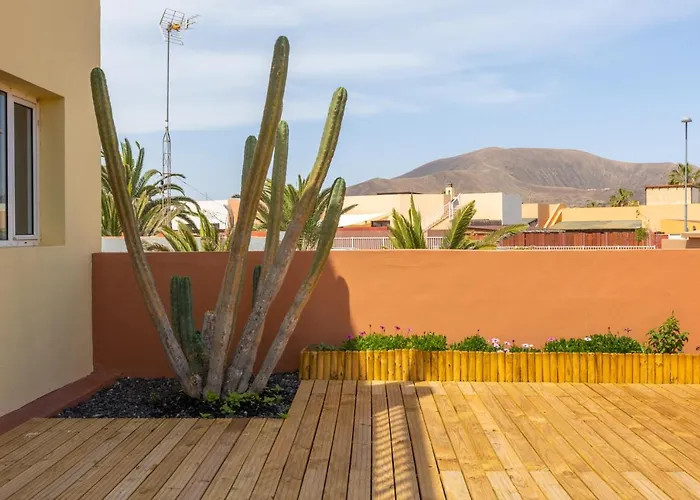 Garden House With Two Terraces