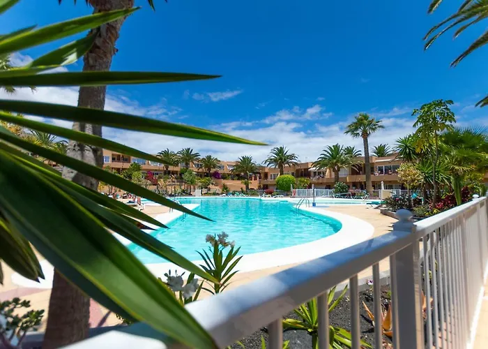 AlicesBungalowPoolView-Summer