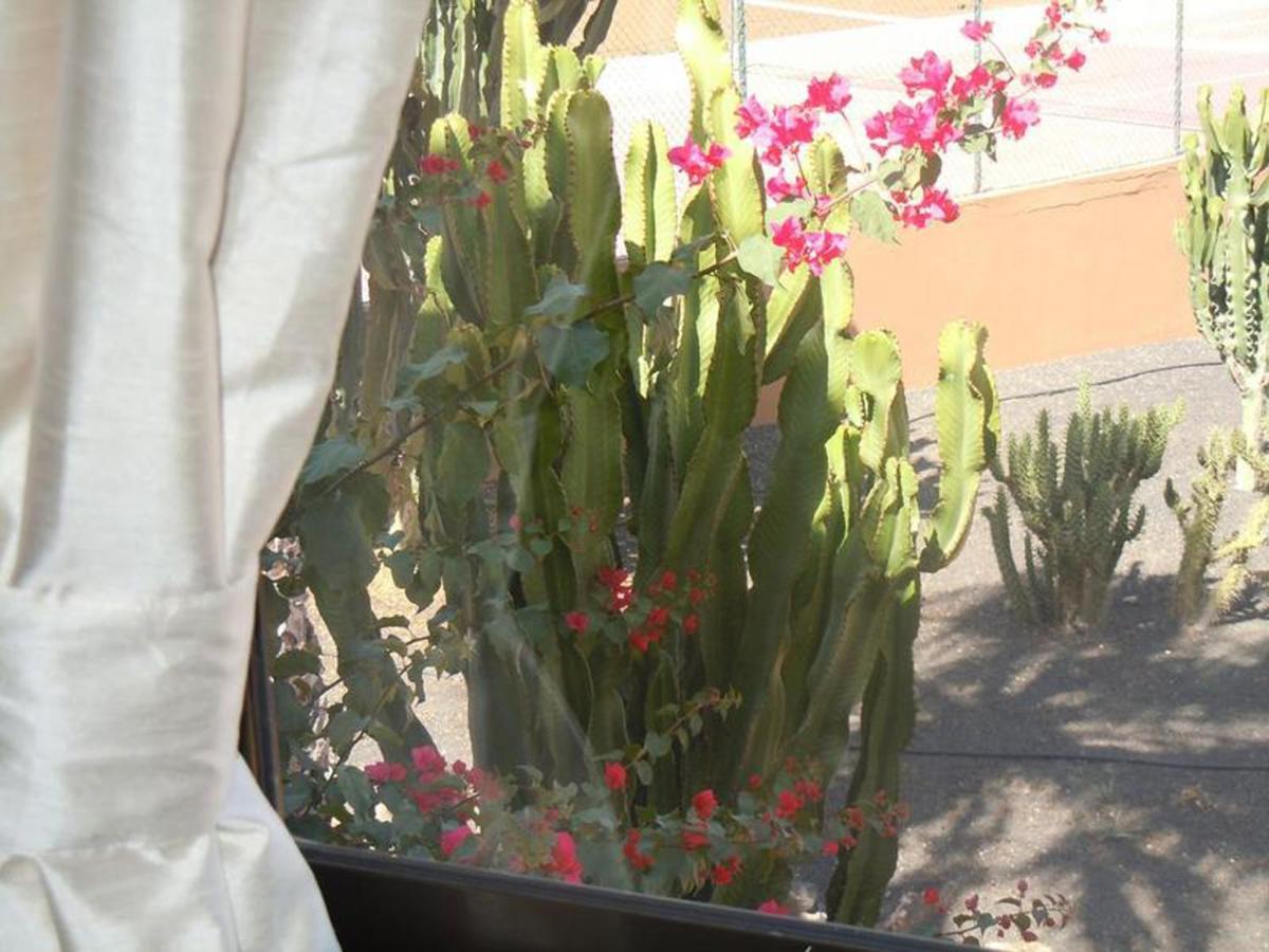 Family 1 Bedroom With Pool View 2 - Oasis Duna