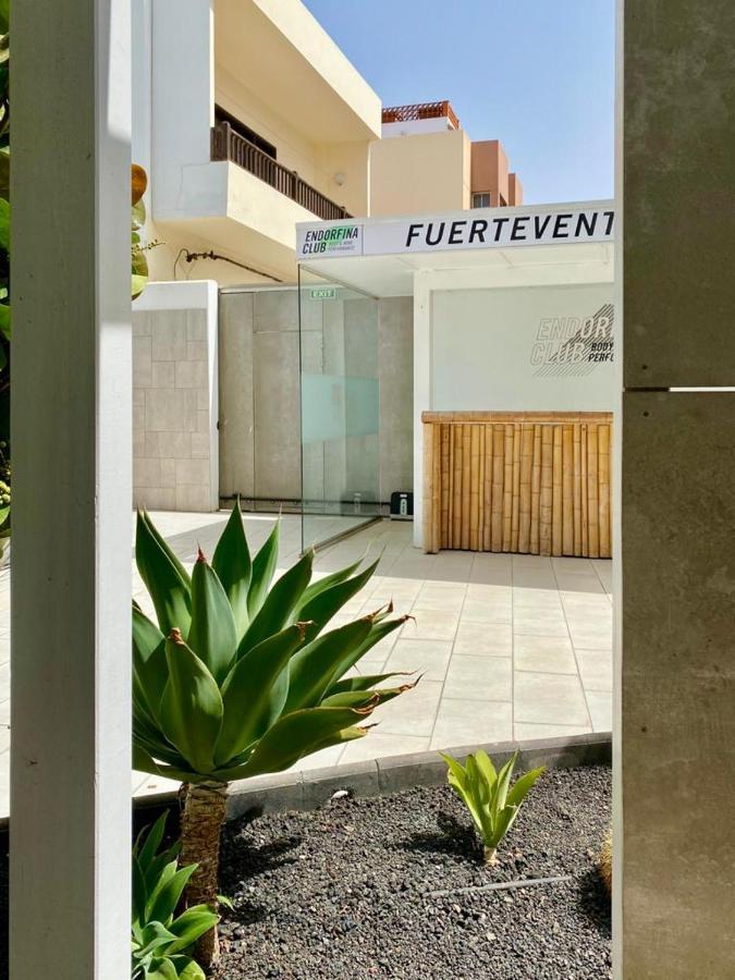 Casa Perla - Cozy Pool Side Corralejo