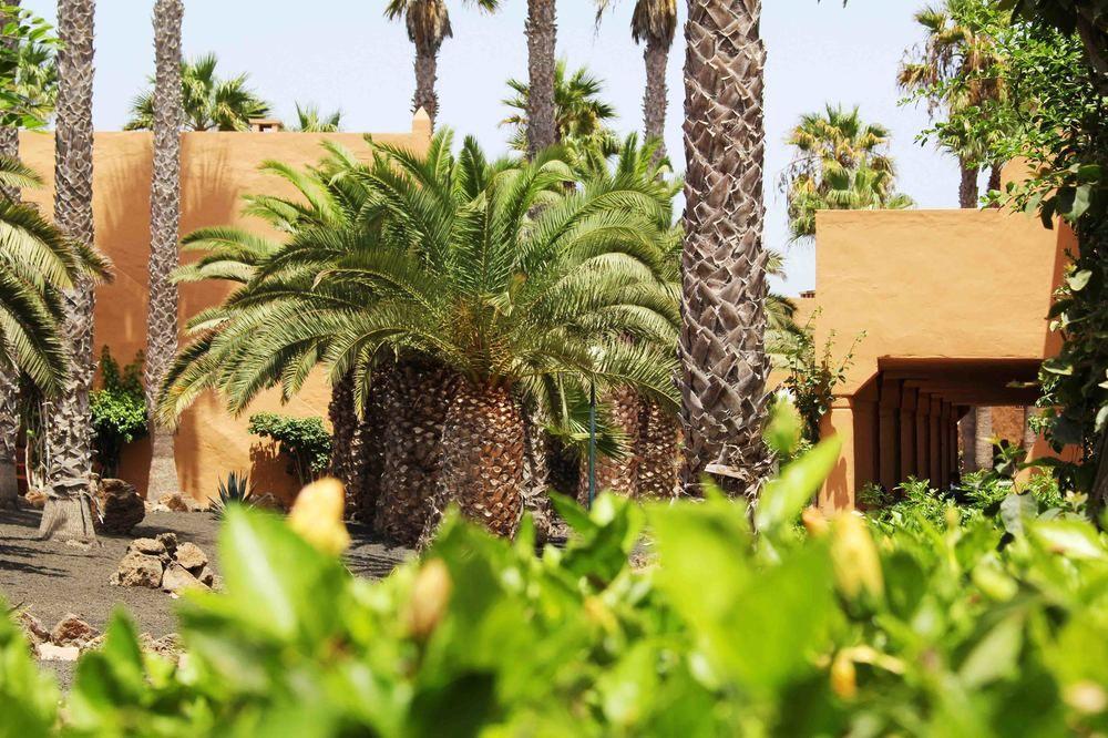 Aparthotel Oasis Dunas