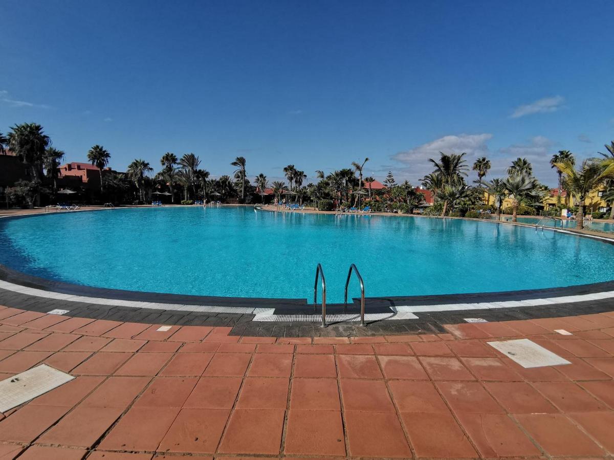 Spagnolo Oasis Tamarindo *