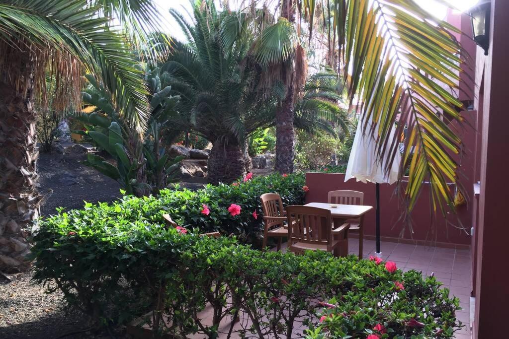 Apartment Oasis Tamarindo Dona Laura 69b Wi Fi, Smart Tv, Portico, Piscine *