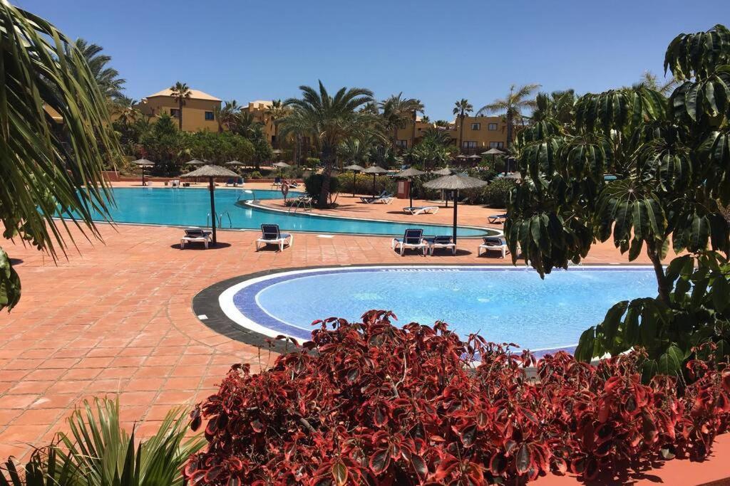 Oasis Tamarindo Dona Laura 69b Wi Fi, Smart Tv, Portico, Piscine