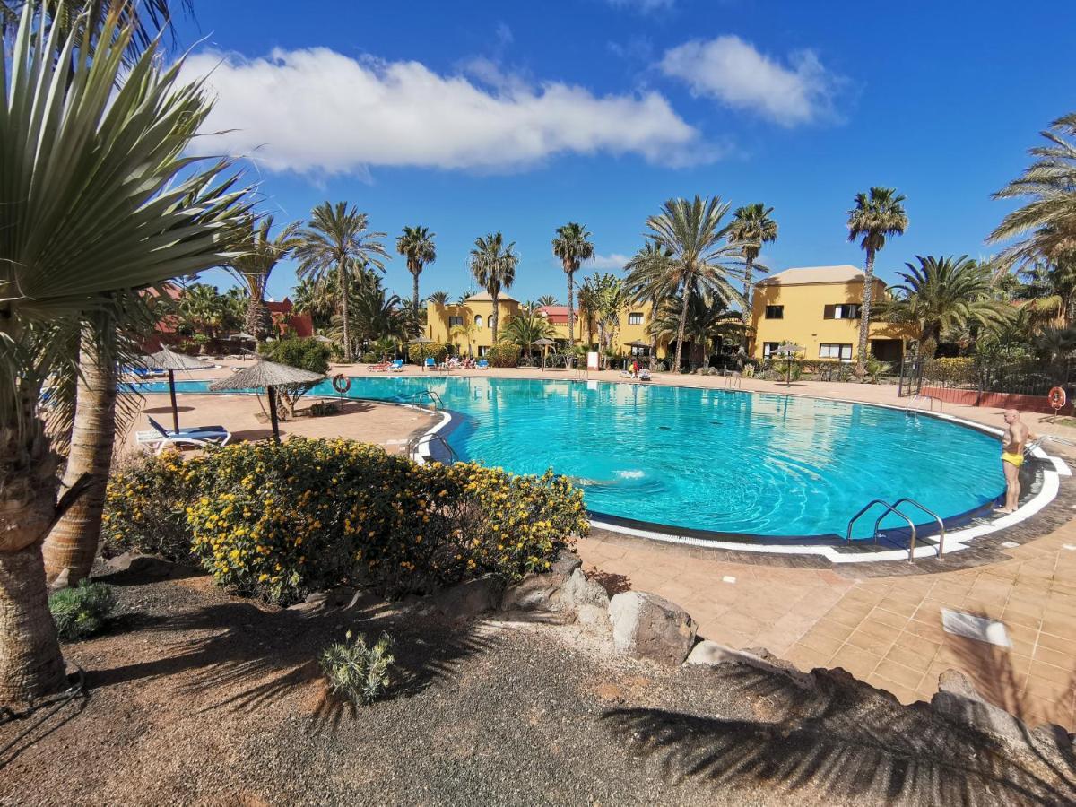 Spagnolo Oasis Tamarindo