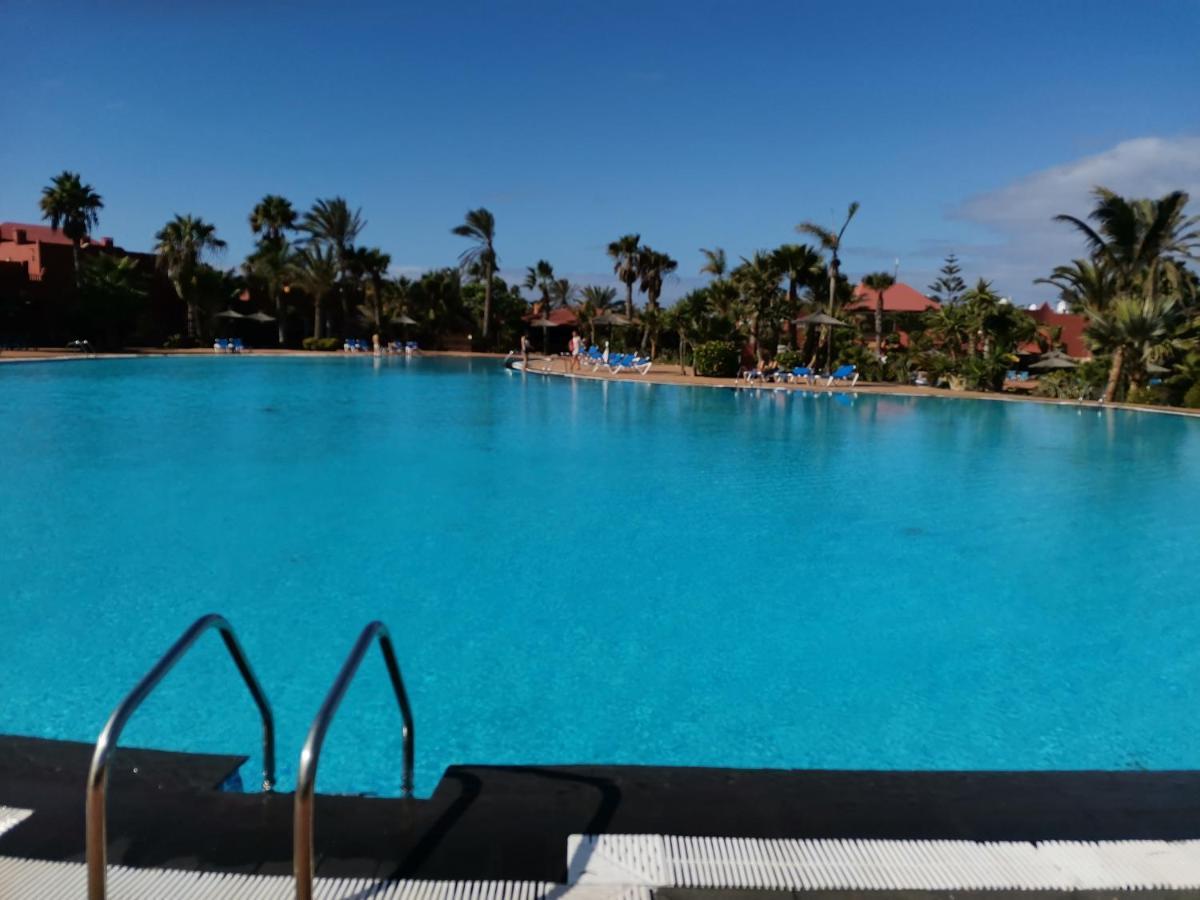 Spagnolo Oasis Tamarindo Corralejo