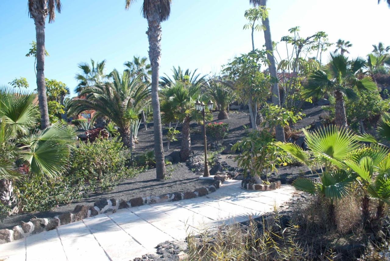 Oasis Royal 3 Piscinas Corralejo