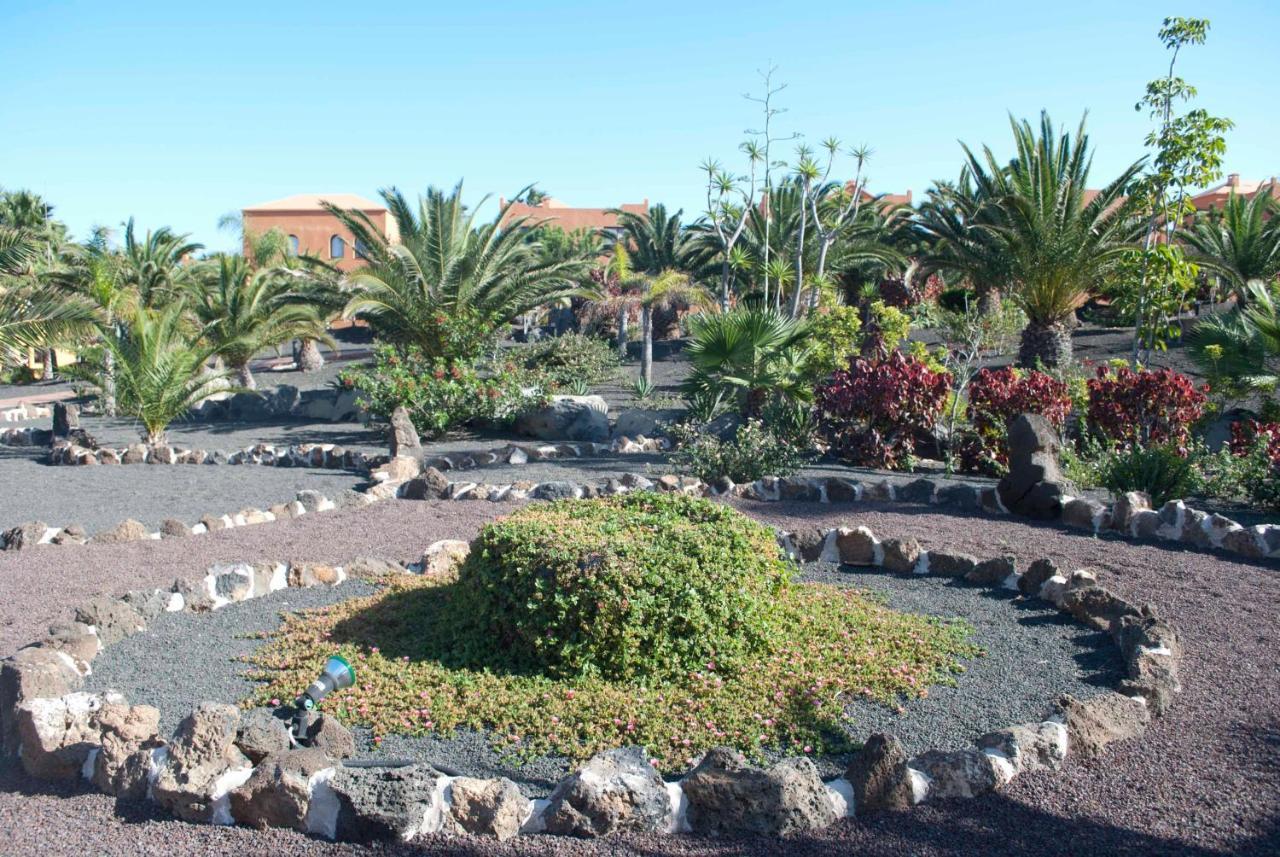 Oasis Royal 3 Piscinas