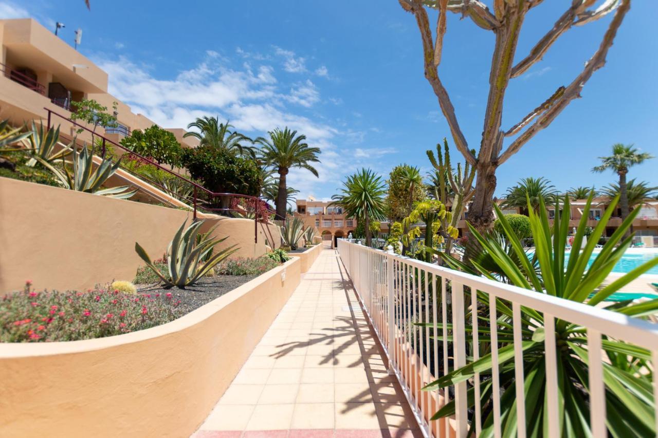 Apartment Sol Corralejo