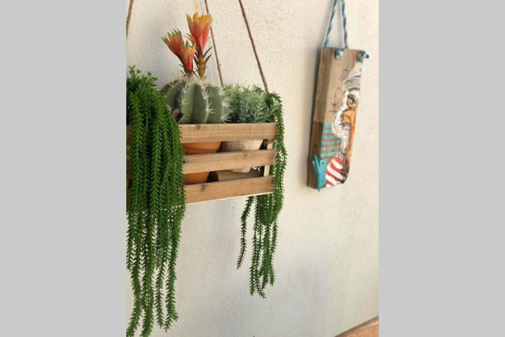 Apartamento Marea Fuerteventura 1 Corralejo
