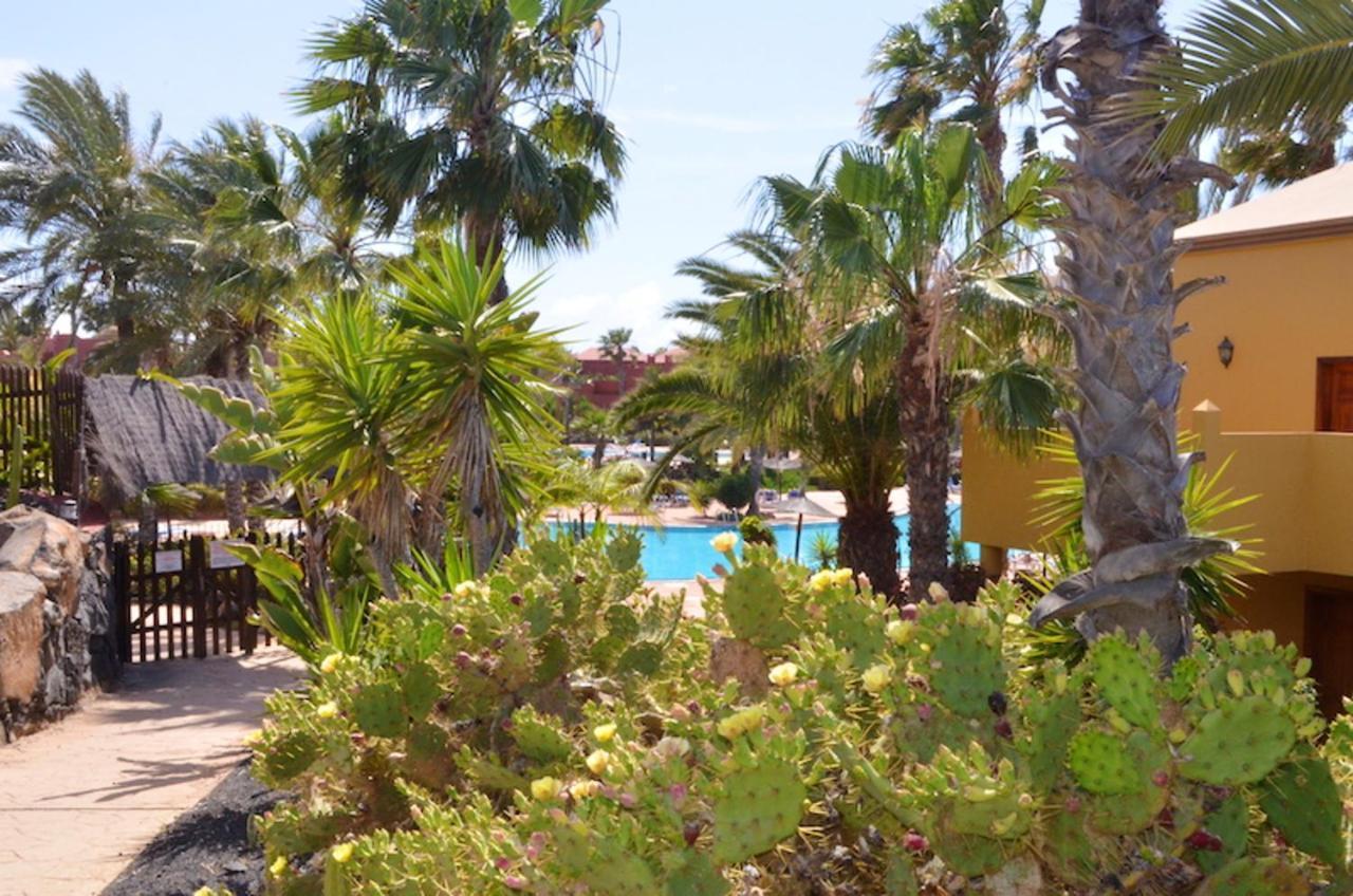 Cosy Corralejo: With Shared Pool Corralejo