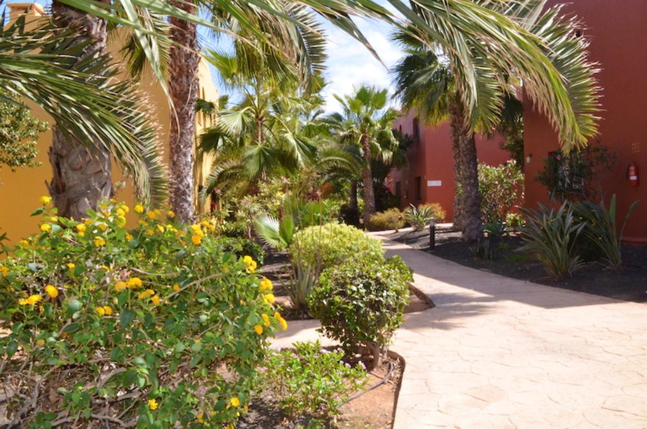 Cosy Corralejo: With Shared Pool * Corralejo
