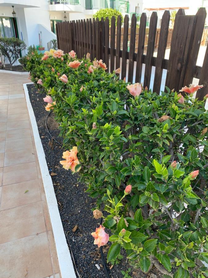 San Valentine Apartamento *