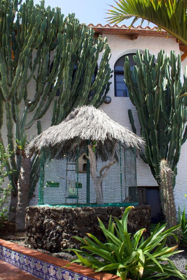 Miramar Boutique Adults Only Apartment Corralejo