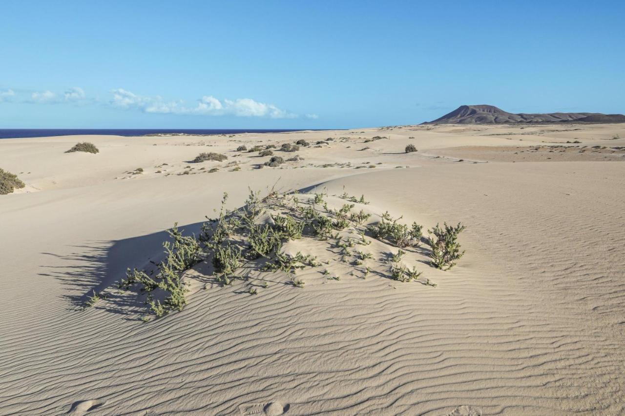 Casa Das Cores Holiday home Corralejo