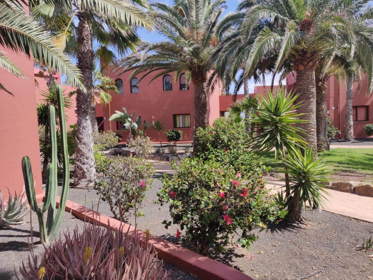 Oasis Tamarindo Poppins Pool E Terrace * Corralejo