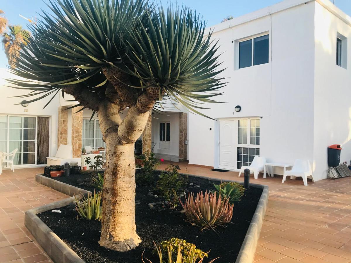 Olas De Lobos Apartment *