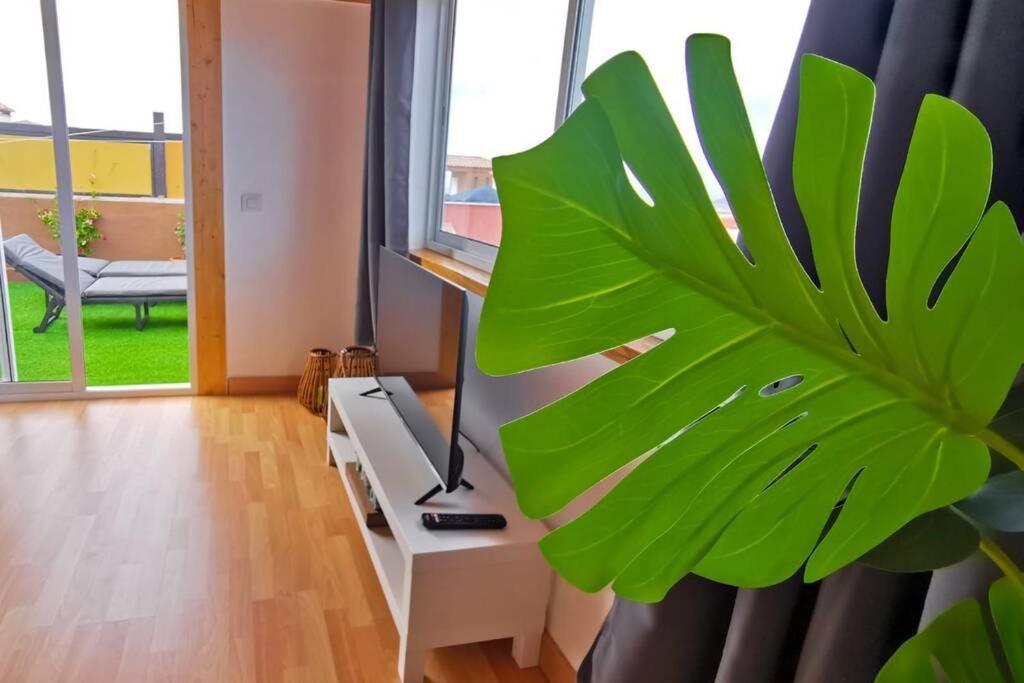 Loft Bella Vista Apartment *
