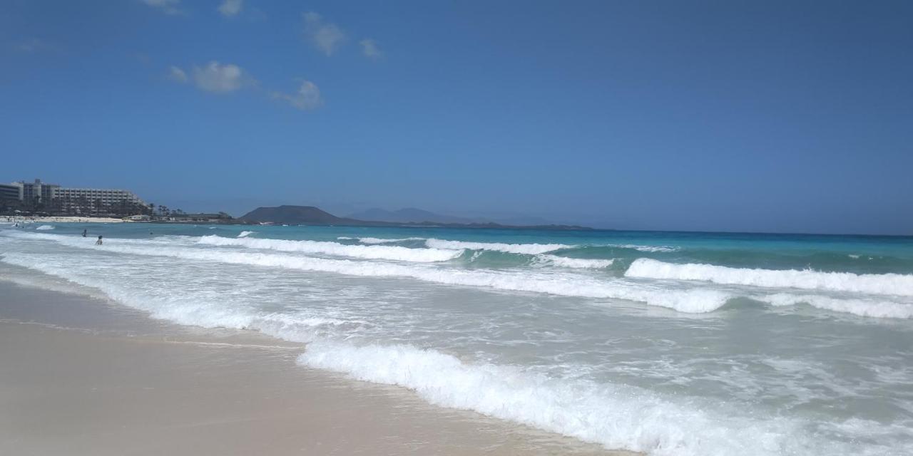 La Flor Del Atlantico Corralejo