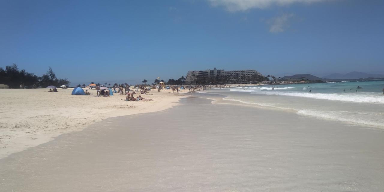 La Flor Del Atlantico Corralejo